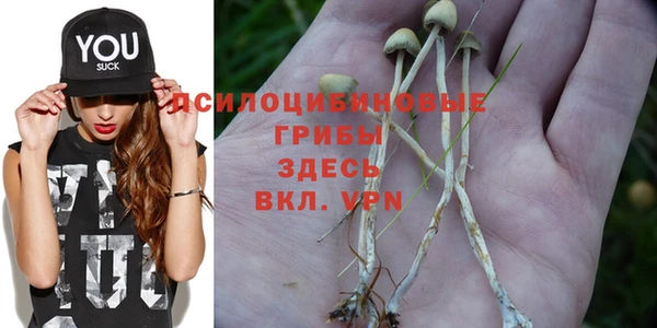 mdpv Алексеевка