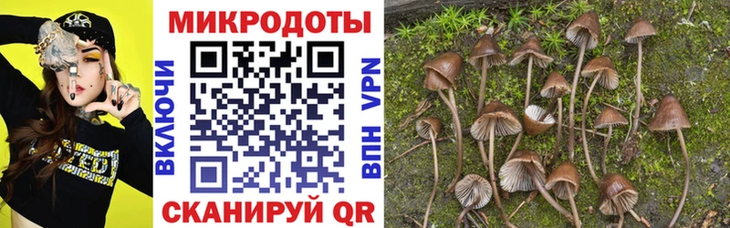 Псилоцибиновые грибы MAGIC MUSHROOMS Заводоуковск